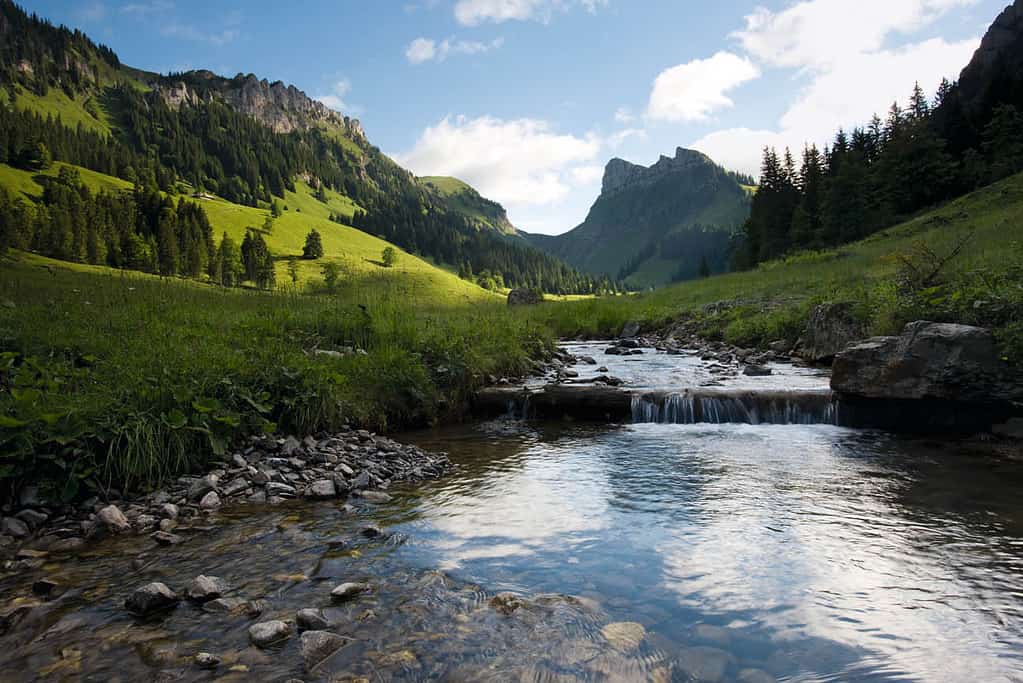 Creek and the sichle in justistal