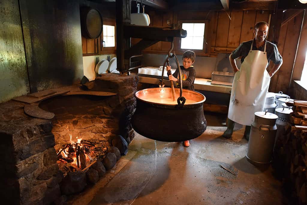 Alpine cheese Factory in switzerland