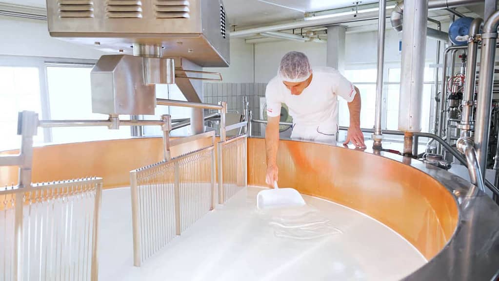 Appenzeller cheese factory production