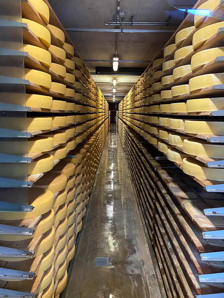 Gruyere cheese factory