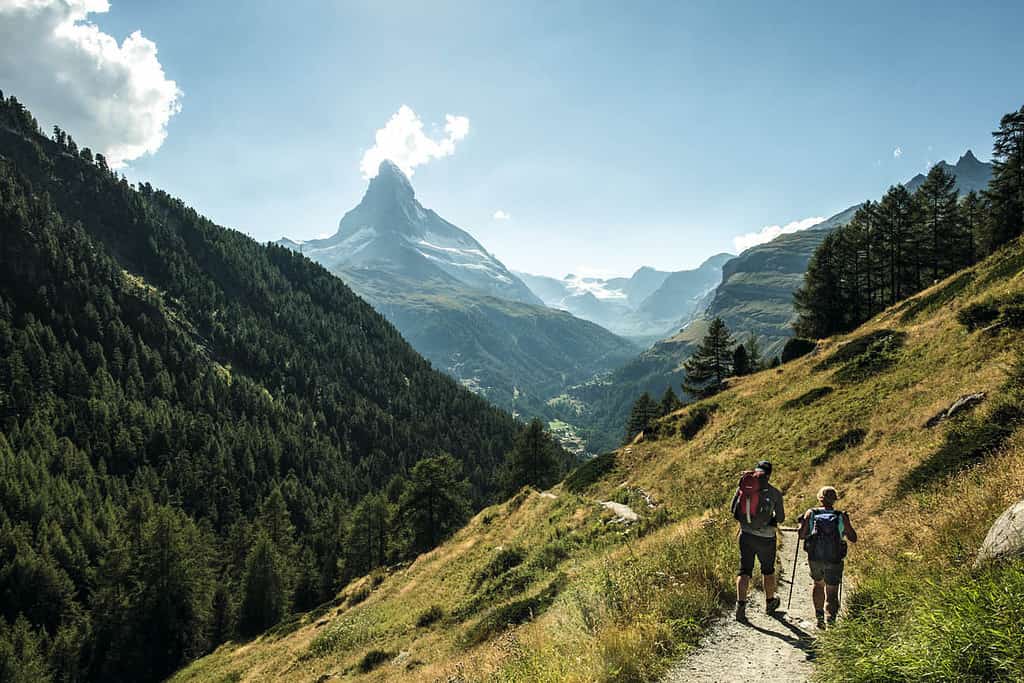 Hikers in summer with the matterhorn in the background
